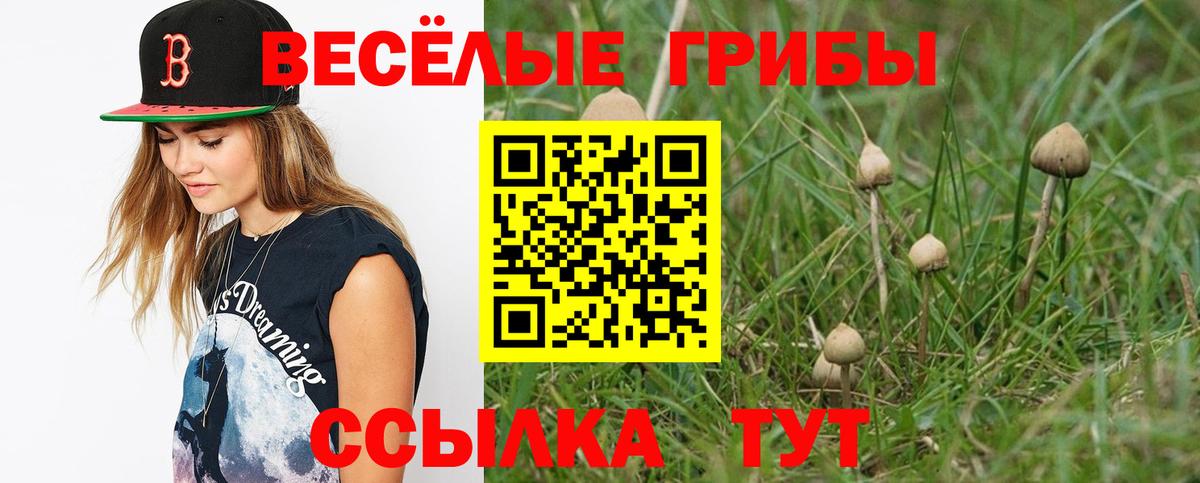 Псилоцибиновые грибы мухоморы Севастополь