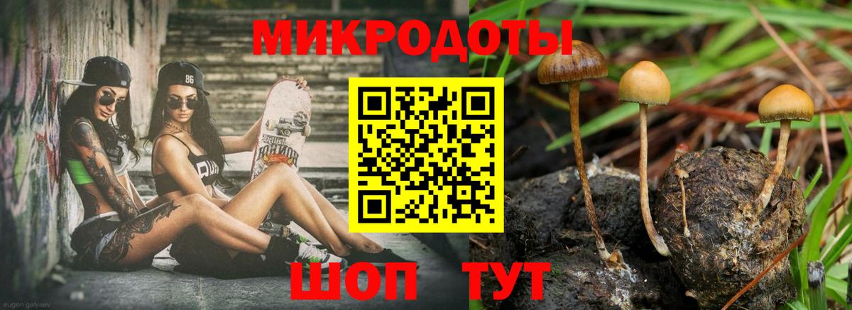 Севастополь  Псилоцибиновые грибы ЛСД  Вход с VPN 